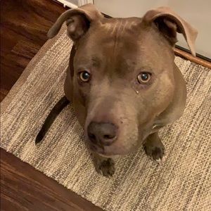 Meet your Posher, Kristine